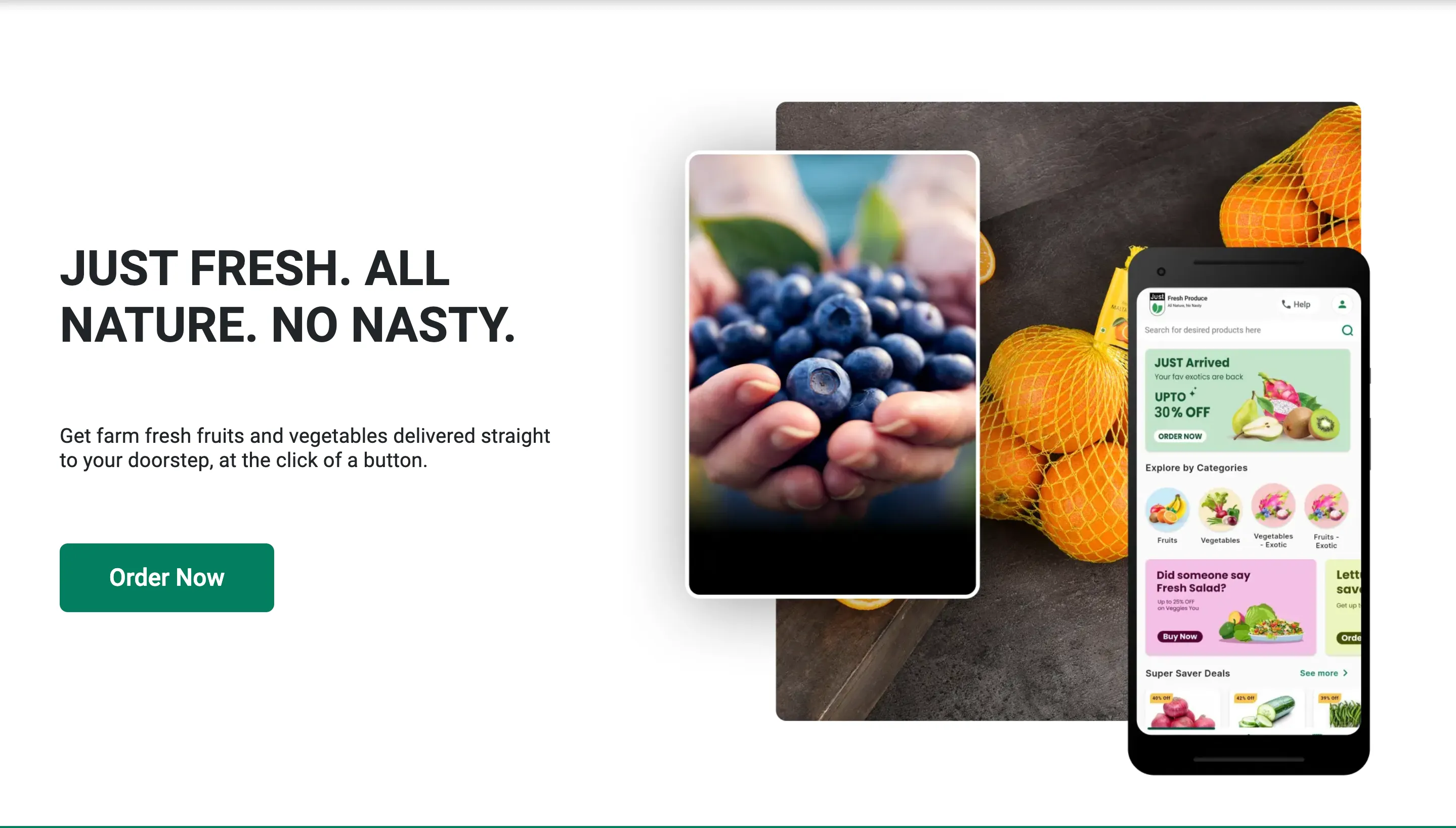 Just Fresh website — Just Fresh. All Nature. No Nasty.